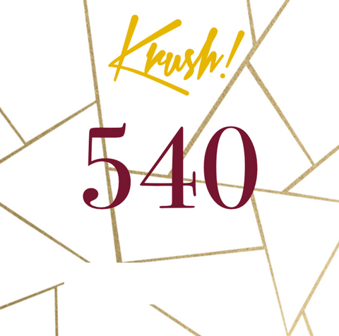 540 Soap Sponge